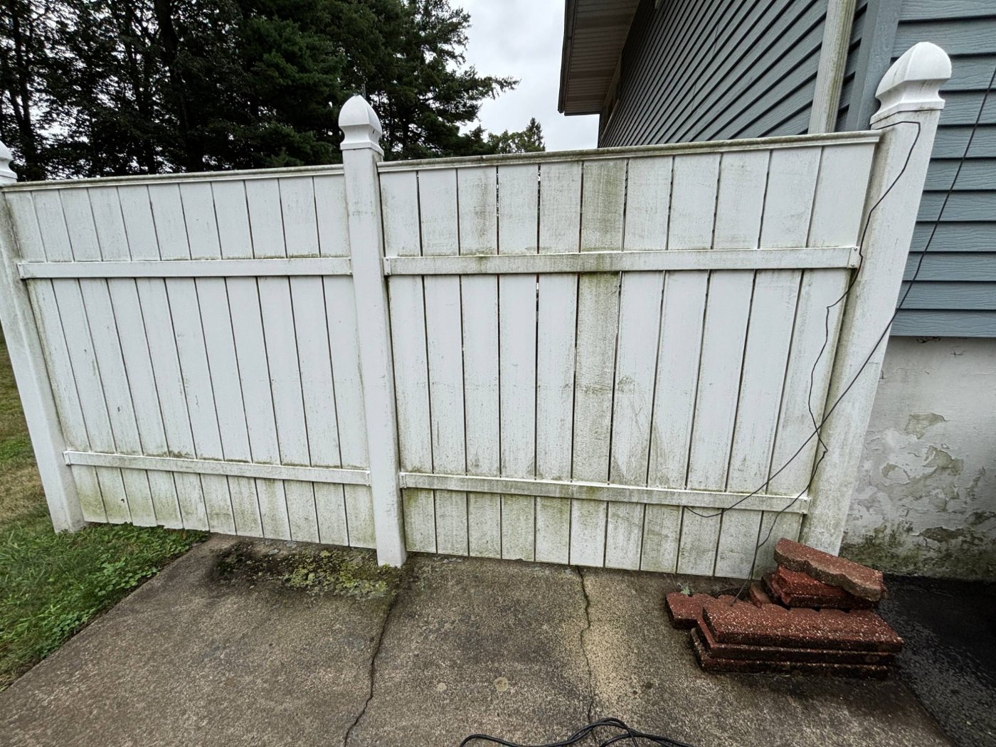 A white vinyl privacy fence stained green with algae