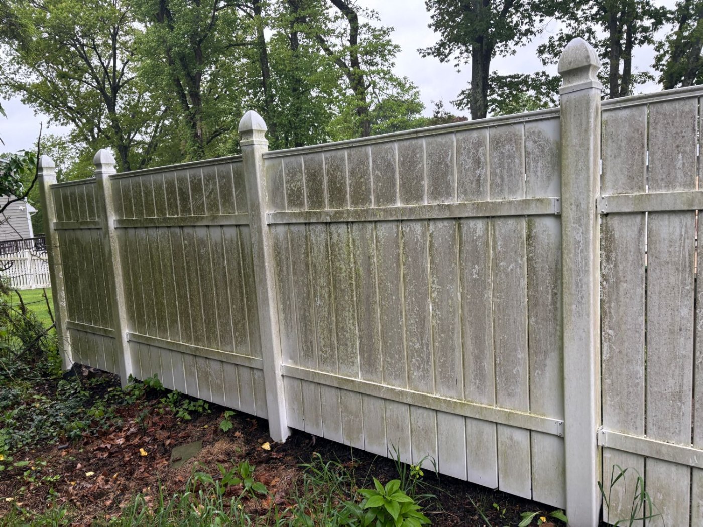 A long run of vinyl fence gone grey-green with algae