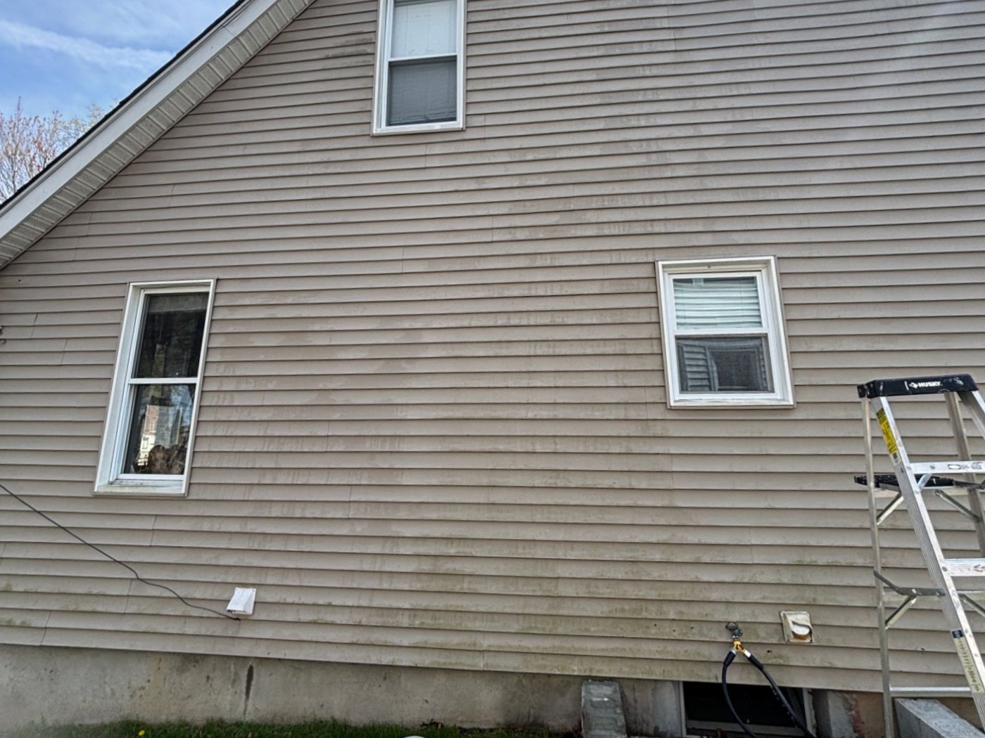 The side of a tan house with green growth running along the lower siding courses