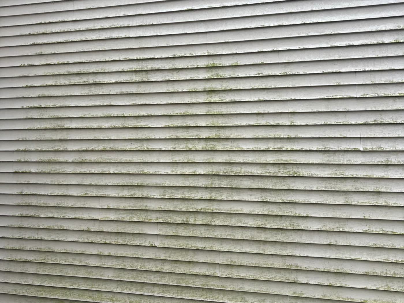 Vinyl siding covered in green algae before a soft wash