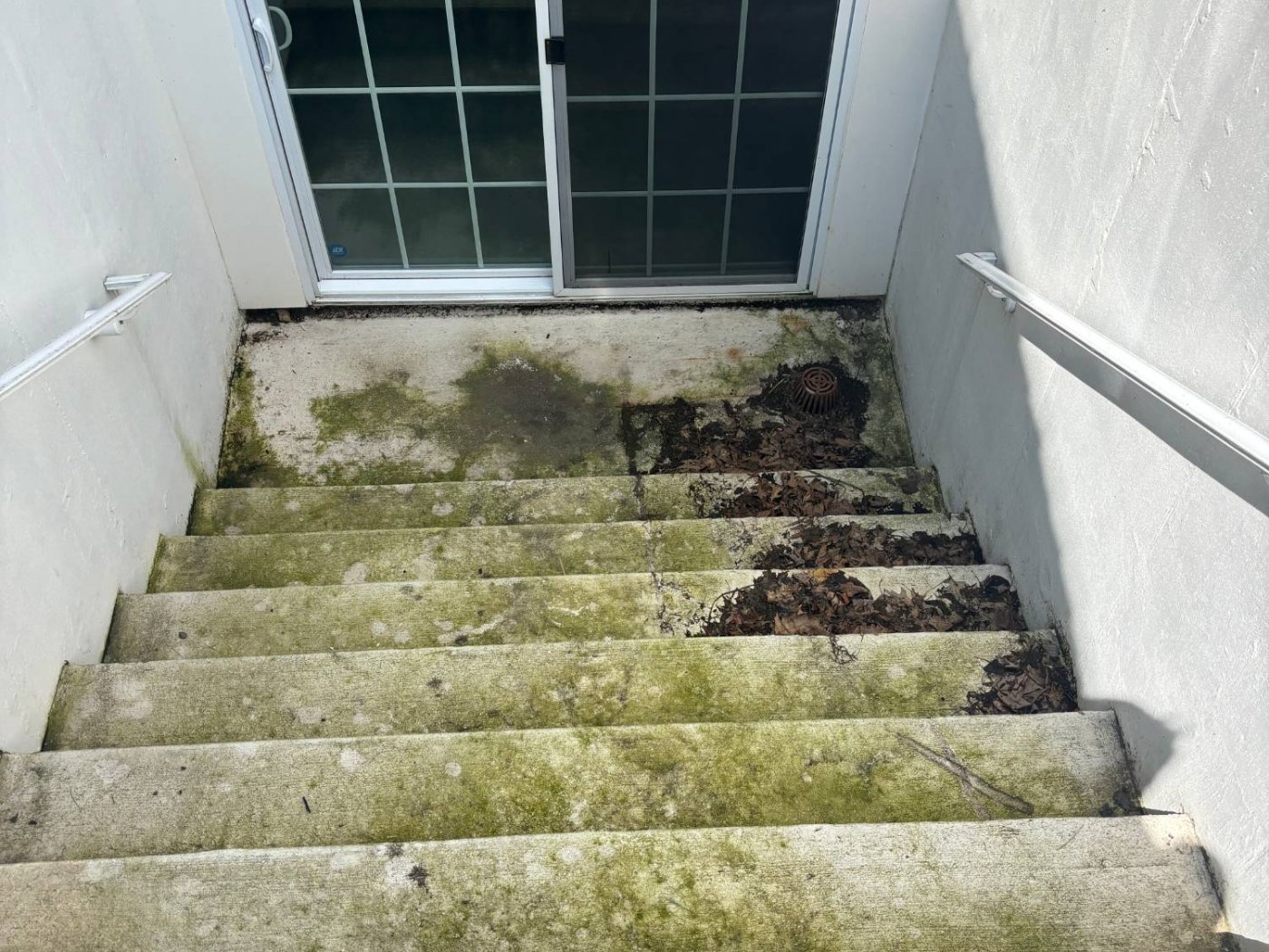 A basement stairwell with moss growing across the concrete steps