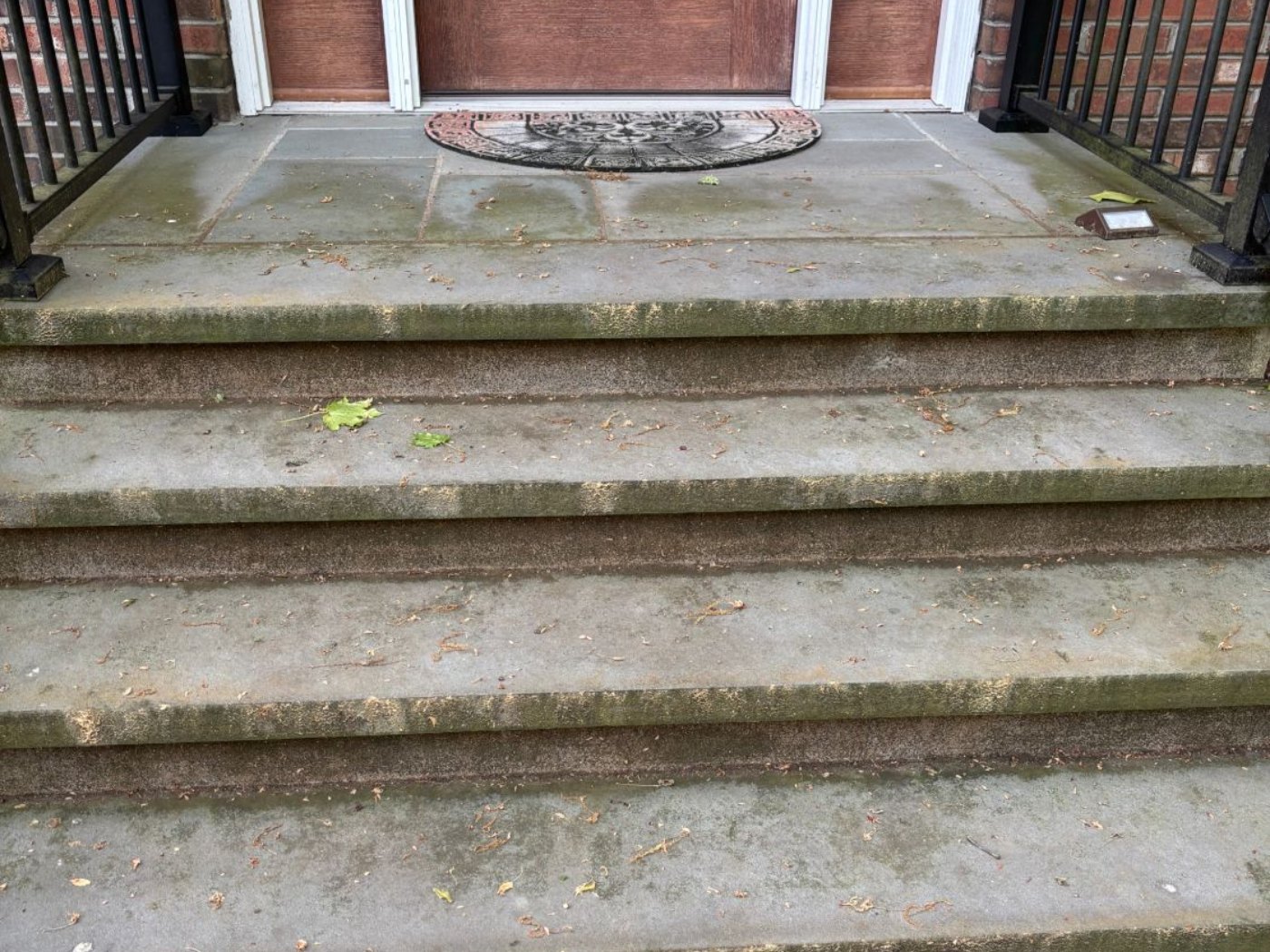 Front steps and landing darkened by algae and leaf litter