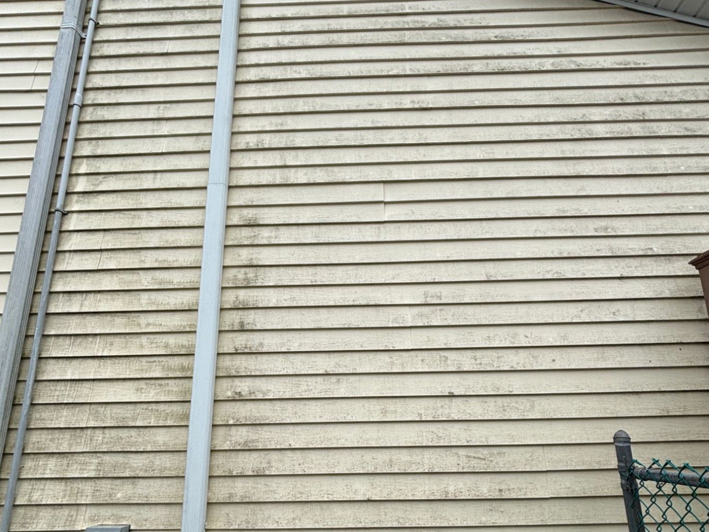 Pale yellow vinyl siding dulled by grey and green weathering